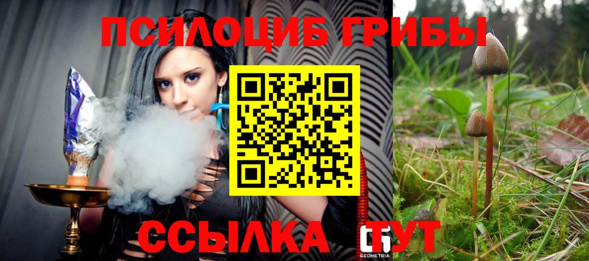 Псилоцибиновые грибы Psilocybine cubensis  купить закладку  Россошь  Вход с VPN 