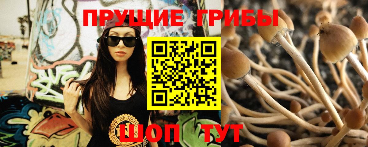 Псилоцибиновые грибы ЛСД Россошь